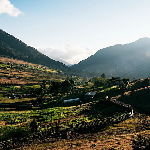 Phobjikha valley